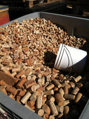 Cork Forest Conservation Awareness