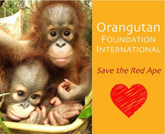 Save The Orangutans!