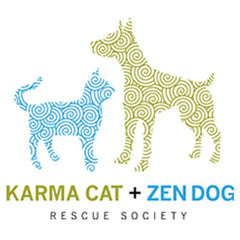 Karma Cat + Zen Dog Platinum