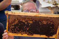 HoneyLove