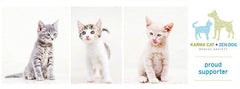 Karma Cat + Zen Dog