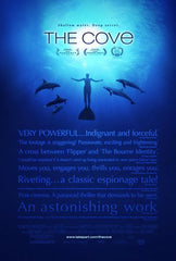 Save The Dolphins!