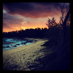 Sustainable Coastlines Hawaii