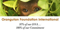 Save The Orangutans!