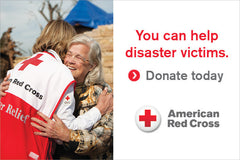 Japan Tsunami Relief